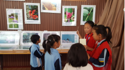 2018年朝阳区动植物摄影师生作品“现身”老君堂小学