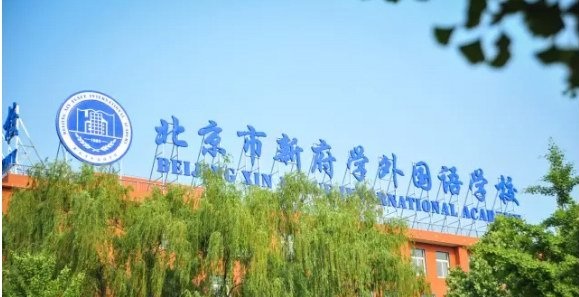 北京市新府学外国语学校初小部校长辛玲：建立起共同进步的学术氛围、终生学习的积极文化