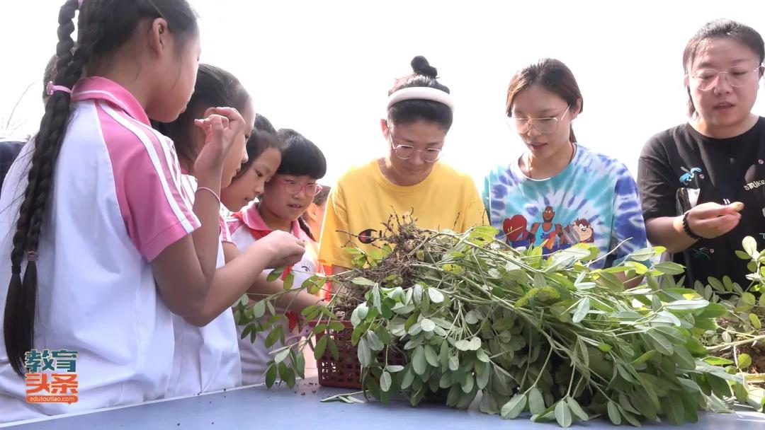 花家地实验小学方舟校区：播下种子 收获梦想