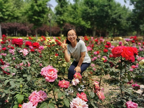 努力追逐职业教育的幸福 ——记北京电子科技职业学院2023年育人榜样金丽华