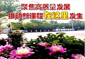 聚焦高质量发展 推动新课程发生——兴隆小学举行教学工作会