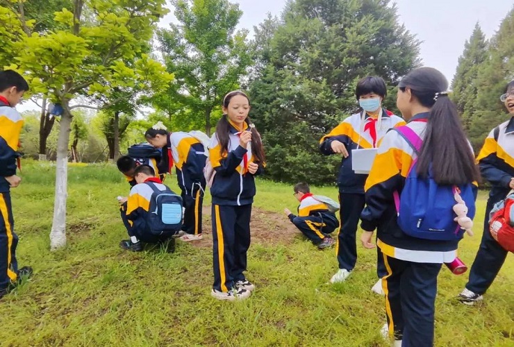 春日奥森研学行，共筑绿色生态梦——北师大朝阳附属学校六年级跨学科研学活动纪实