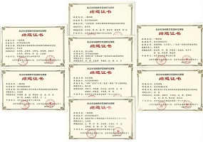 党建研究破局赋能 大兴教育交出全学段课题“答卷”