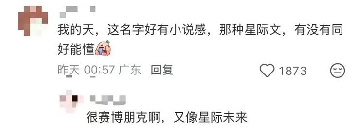 1765353015734718.jpg 2.jpg