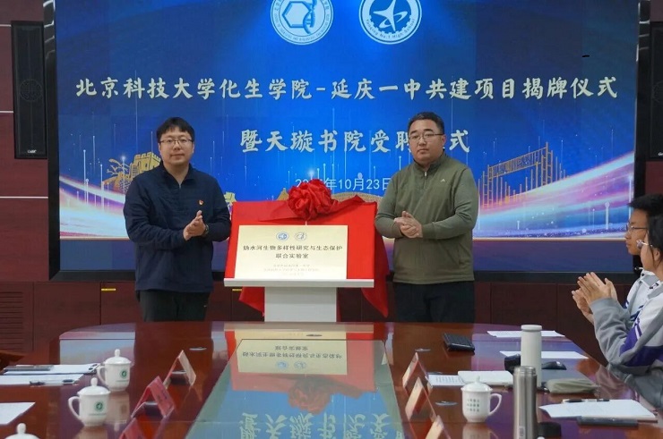 1765453694663017.jpg 5.jpg