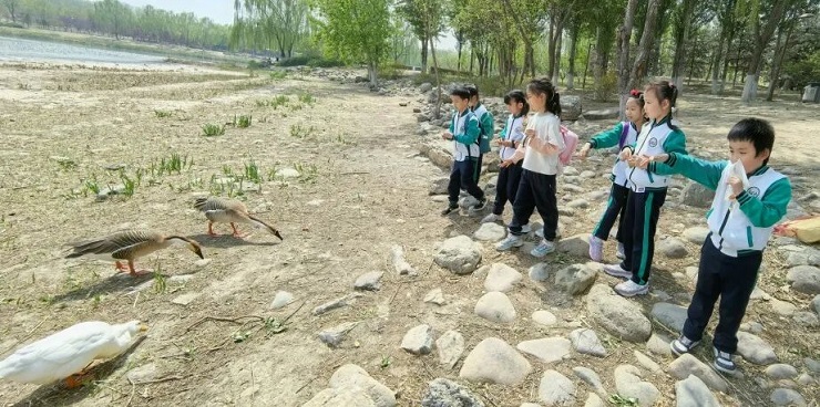 1765599227730418.jpg 5.jpg