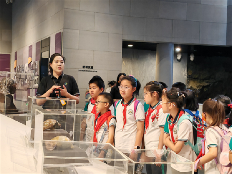 1765611282844161.png 2.png