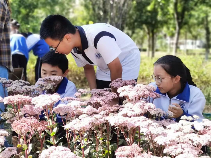 1768904418600340.png 2.png