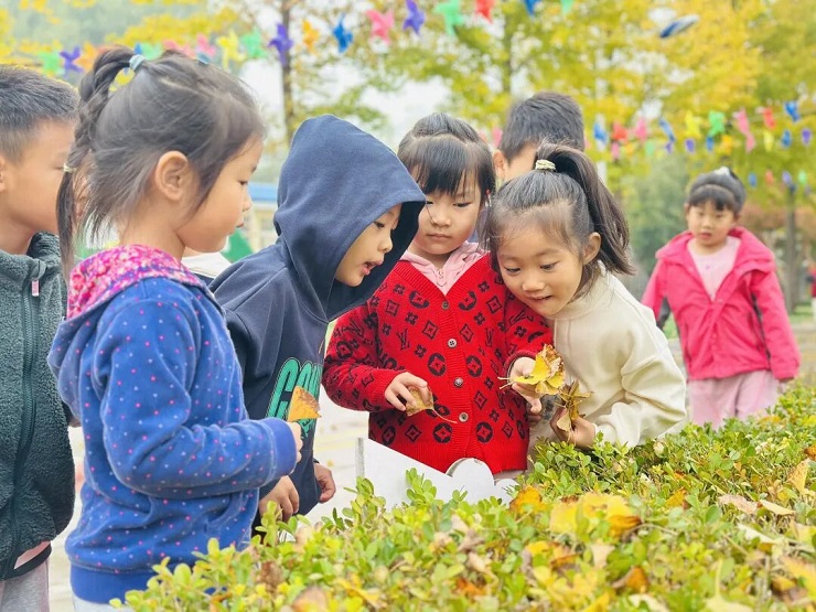 1768904502213310.jpg 5.jpg