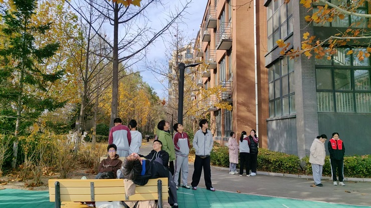 1773821896724243.jpg 颜安英+树叶遥想.jpg