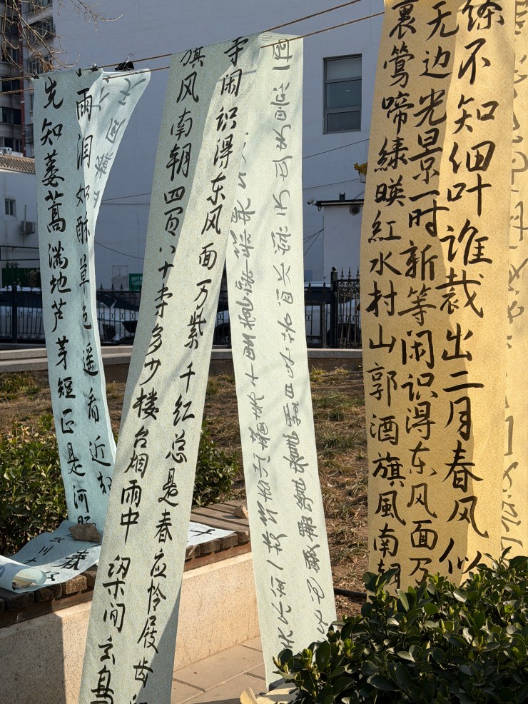 1773987894916757.jpg 3ec42b6e1f451a5959e895bbac0170b.jpg