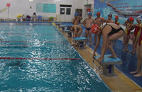 丰师附小合和游泳社团：培养有特长的学生